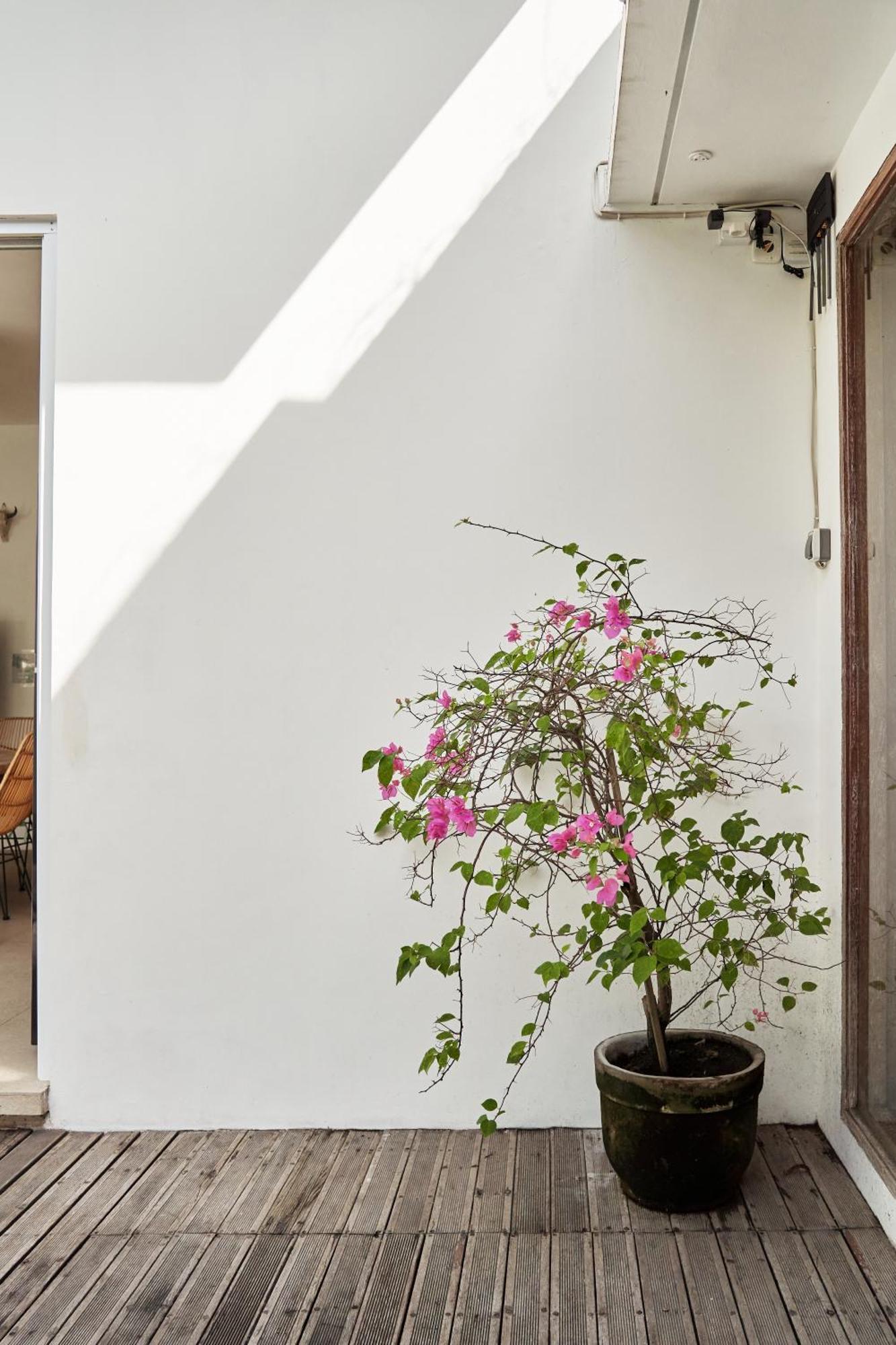 Villa Karuna Uppala Umalas Canggu  Ngoại thất bức ảnh